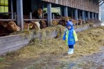 V Podkylave sa koná VZ Európskej federácie vidieckeho cestovného ruchu