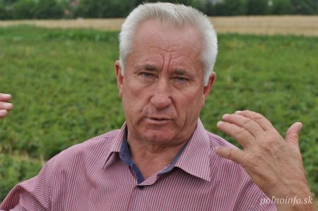 Pestovateľa v Sedliskách viac ako chladné počasie trápi veľké sucho