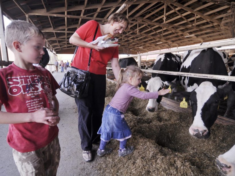 ČR: Farma v uzavretej oblasti zastavila mliekareň a čaká na kŕmenie