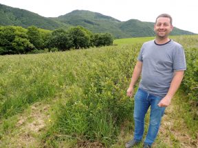 V rodinnej ekofarme arónie v Pitelovej očakávajú tento rok bohatú úrodu