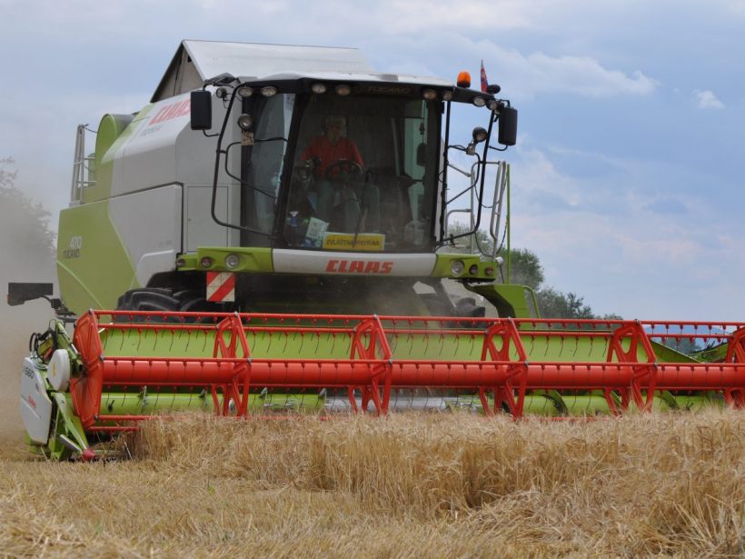 Prvý odhad úrody 2023: Pšenica 5,7 tony z hektára