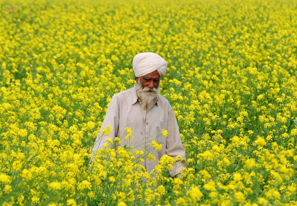 Farmári v Indii protestujú proti poľnohospodárskej reforme