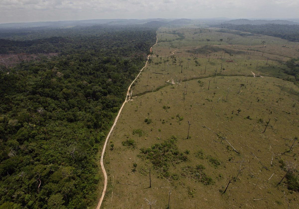 Ľudia zničili alebo znehodnotili dve tretiny dažďových pralesov