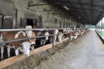 Takáč: MPRV na zmiernenie dosahov sucha pripravilo balík ôsmich opatrení