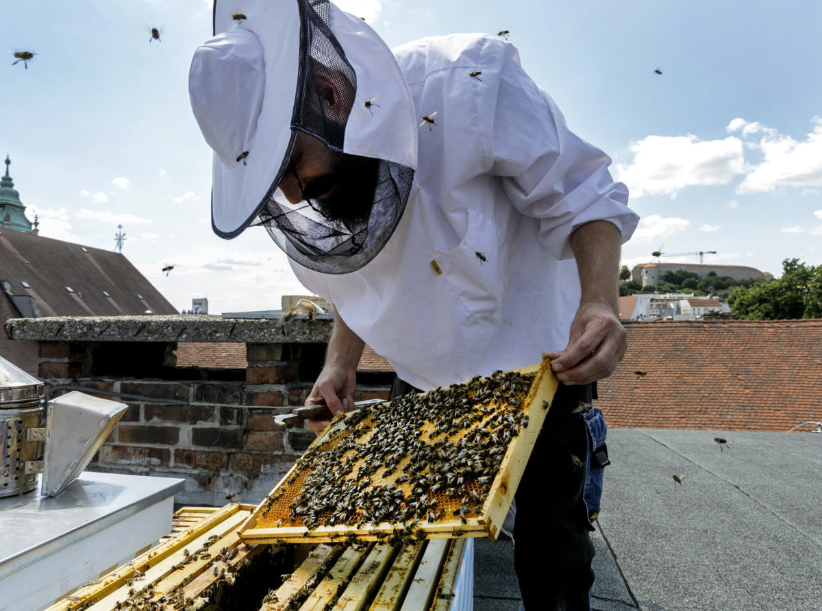 Vlani doviezlo Slovensko najviac medu z Ukrajiny