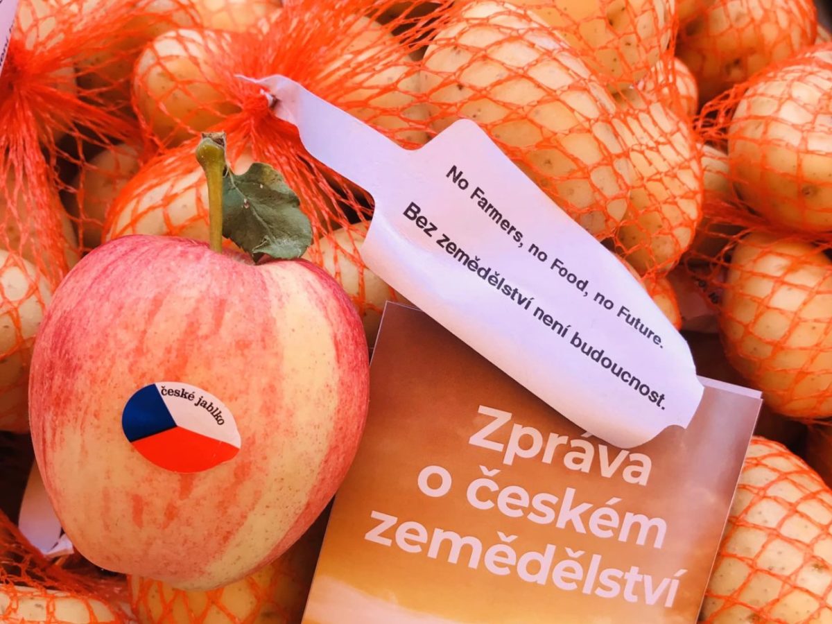 ČR: Protestovali proti poľnohospodárskej politike EÚ a vlády