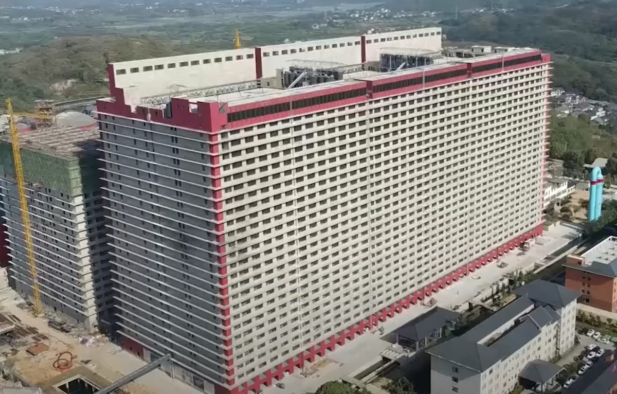 Čína sprevádzkovala najväčšiu ošípareň na svete, má 26 poschodí