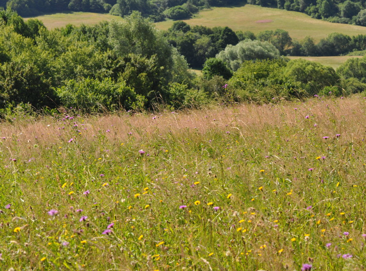 PPA: Cyklická aktualizácia LPIS je úspešne ukončená a pripravená na Kampaň 2026