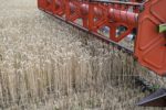 Eurokomisia nepredĺži embargo na štyri agrokomodity z Ukrajiny