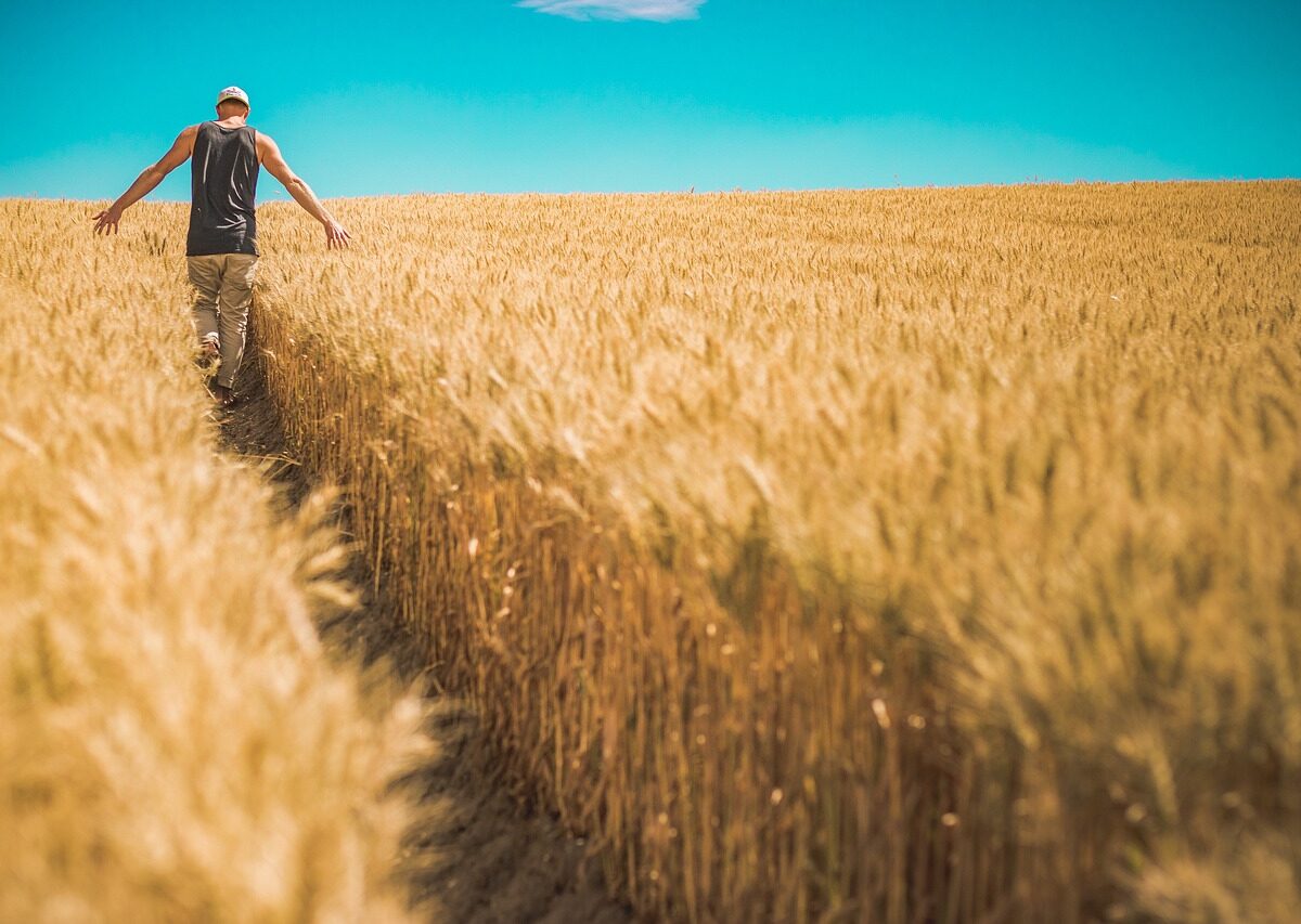 Poľnohospodári vyzývajú EÚ, aby sprísnila kontrolu ukrajinského dovozu