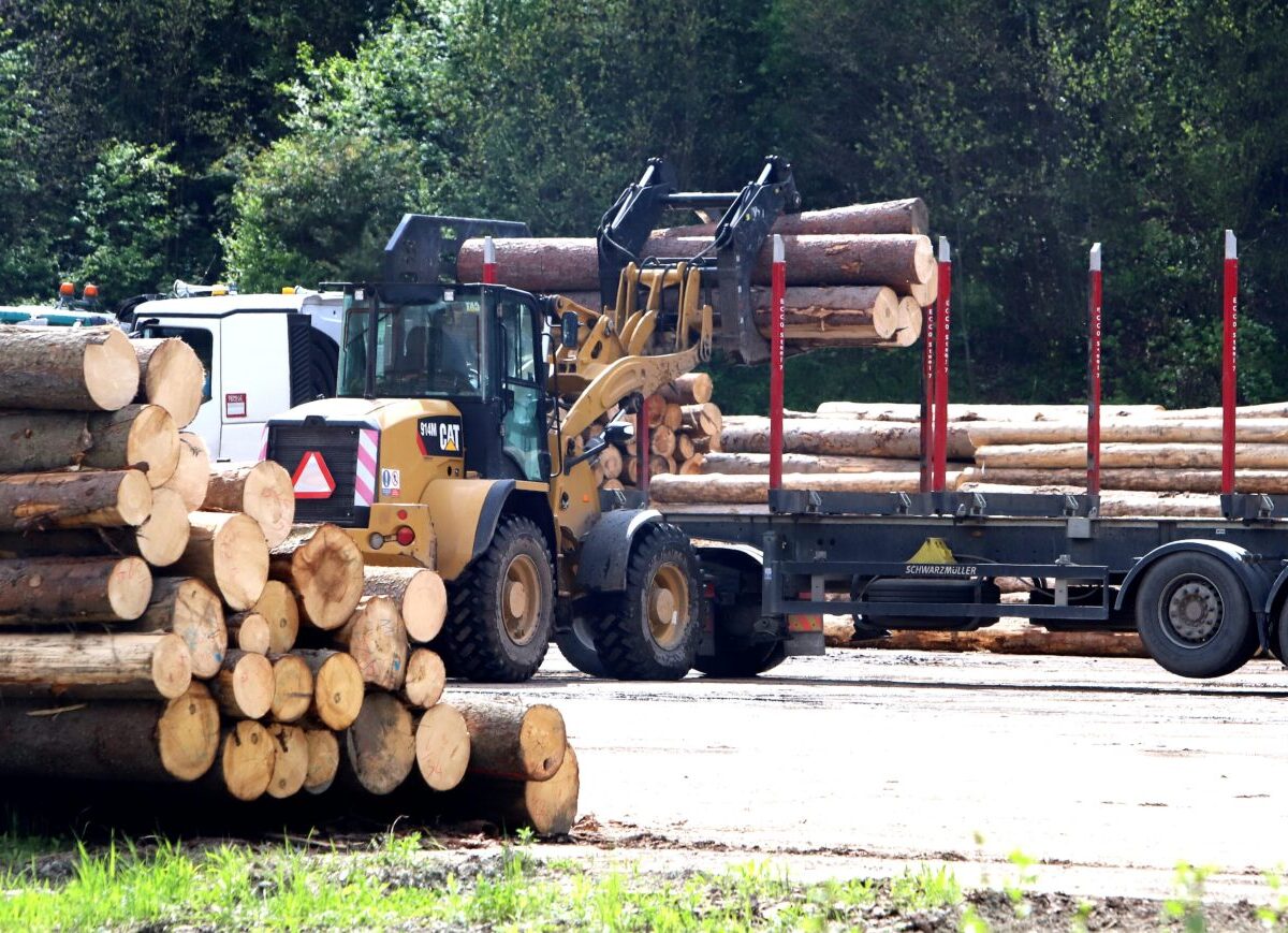USA žiadajú EÚ o odklad zákazu dovozu výrobkov spôsobujúcich odlesňovanie