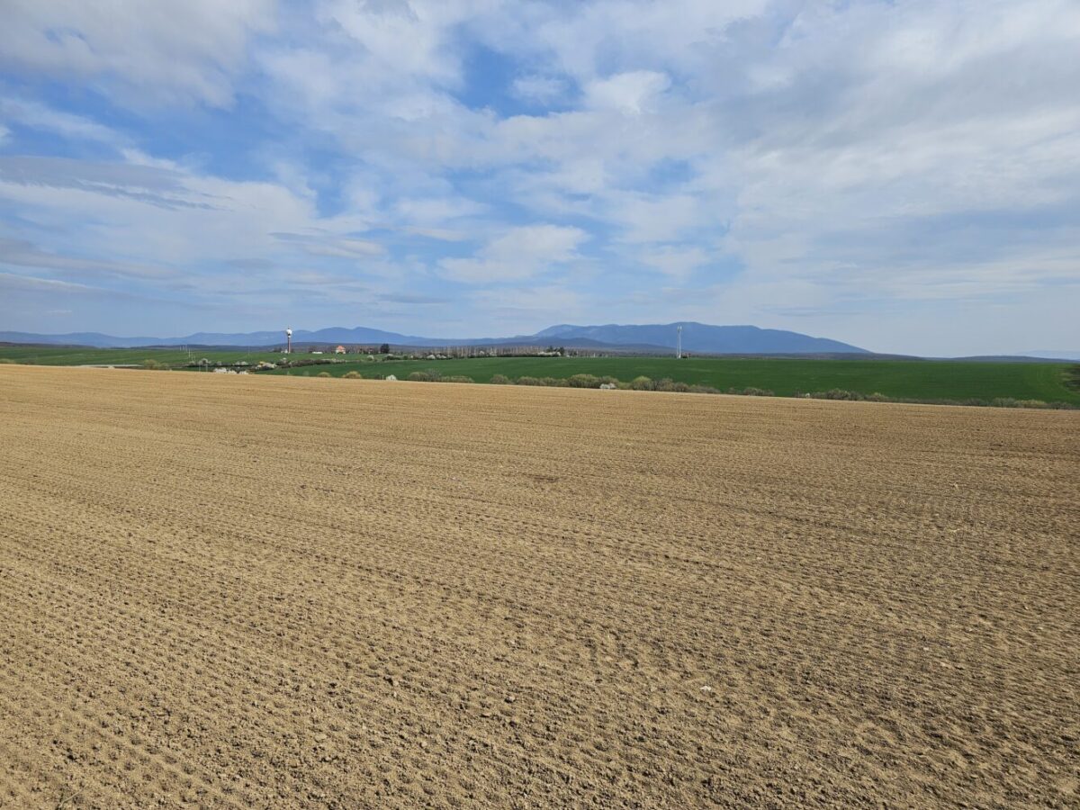 Sucho naberá na intenzite