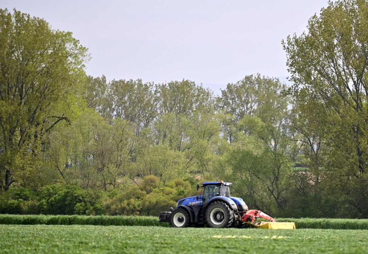 Kým ľudia z fariem miznú, úradníci pribúdajú. Aj to je realita Sviatku práce
