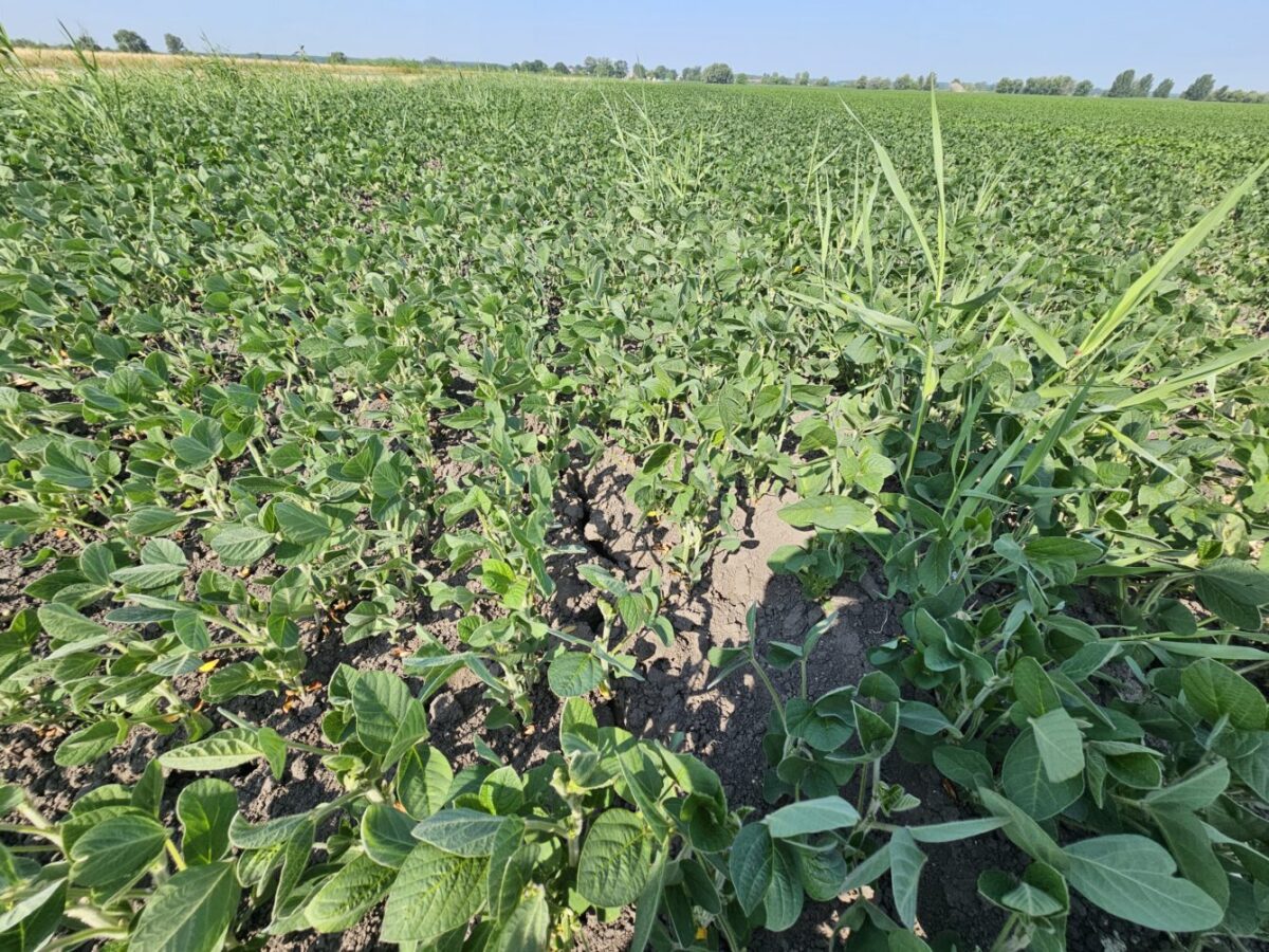 SHMÚ hlási nedostatok zrážok naprieč celým Slovenskom