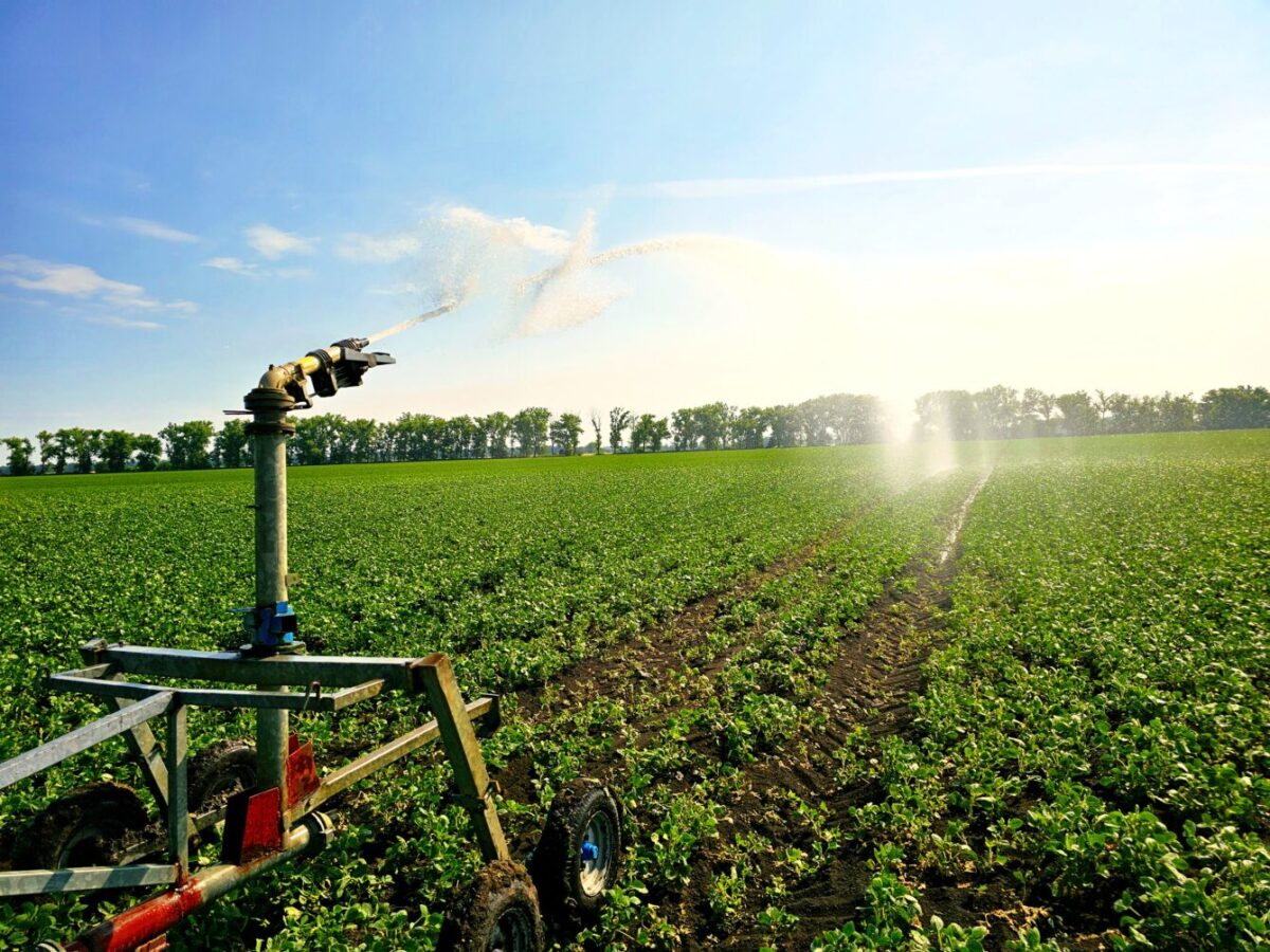 NKÚ: Agrorezort zanedbal dohľad nad štátnymi podnikmi