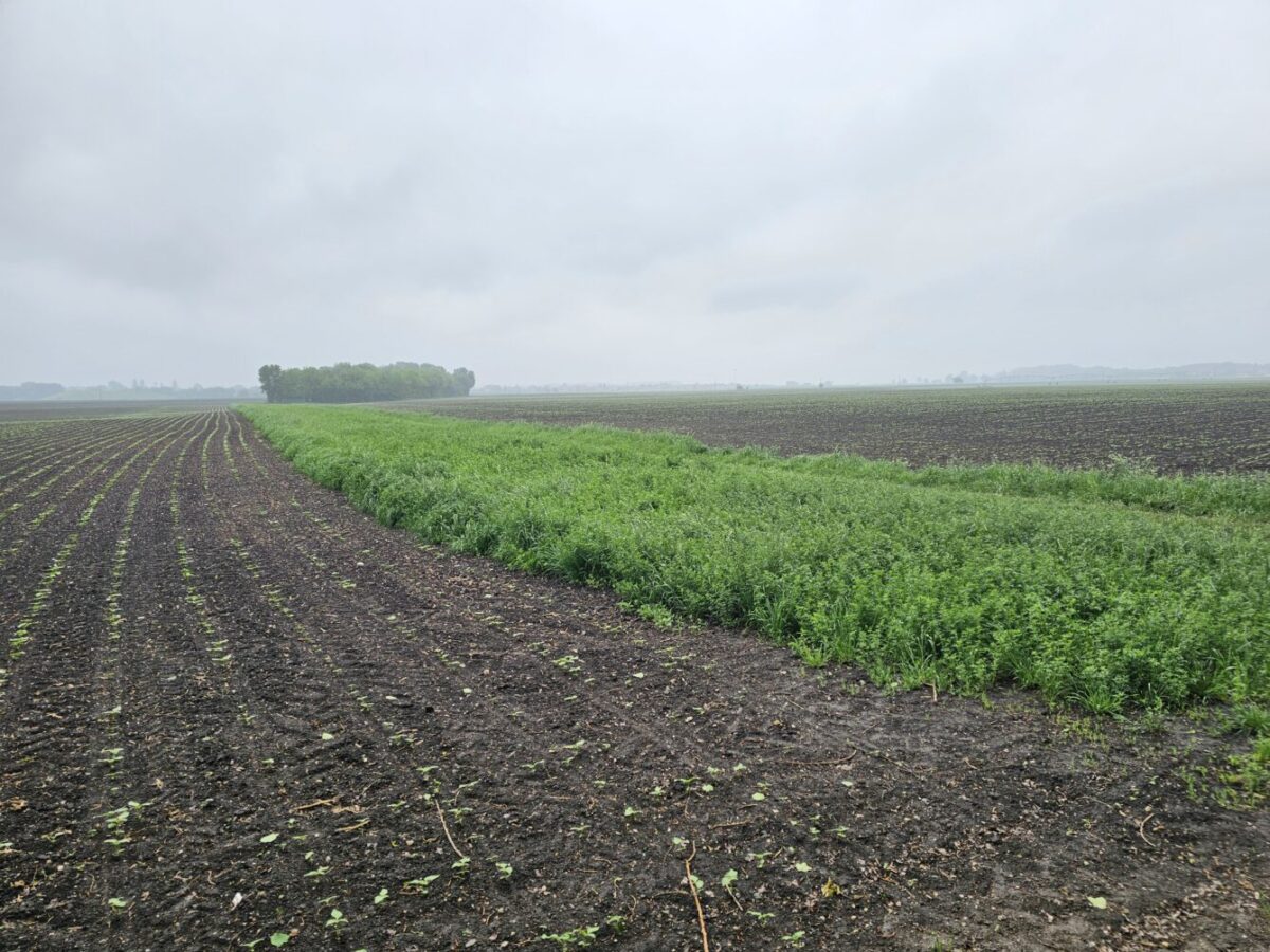 Lukáš Hríbik: Zmeny v nájmoch pôdy od roku 2026