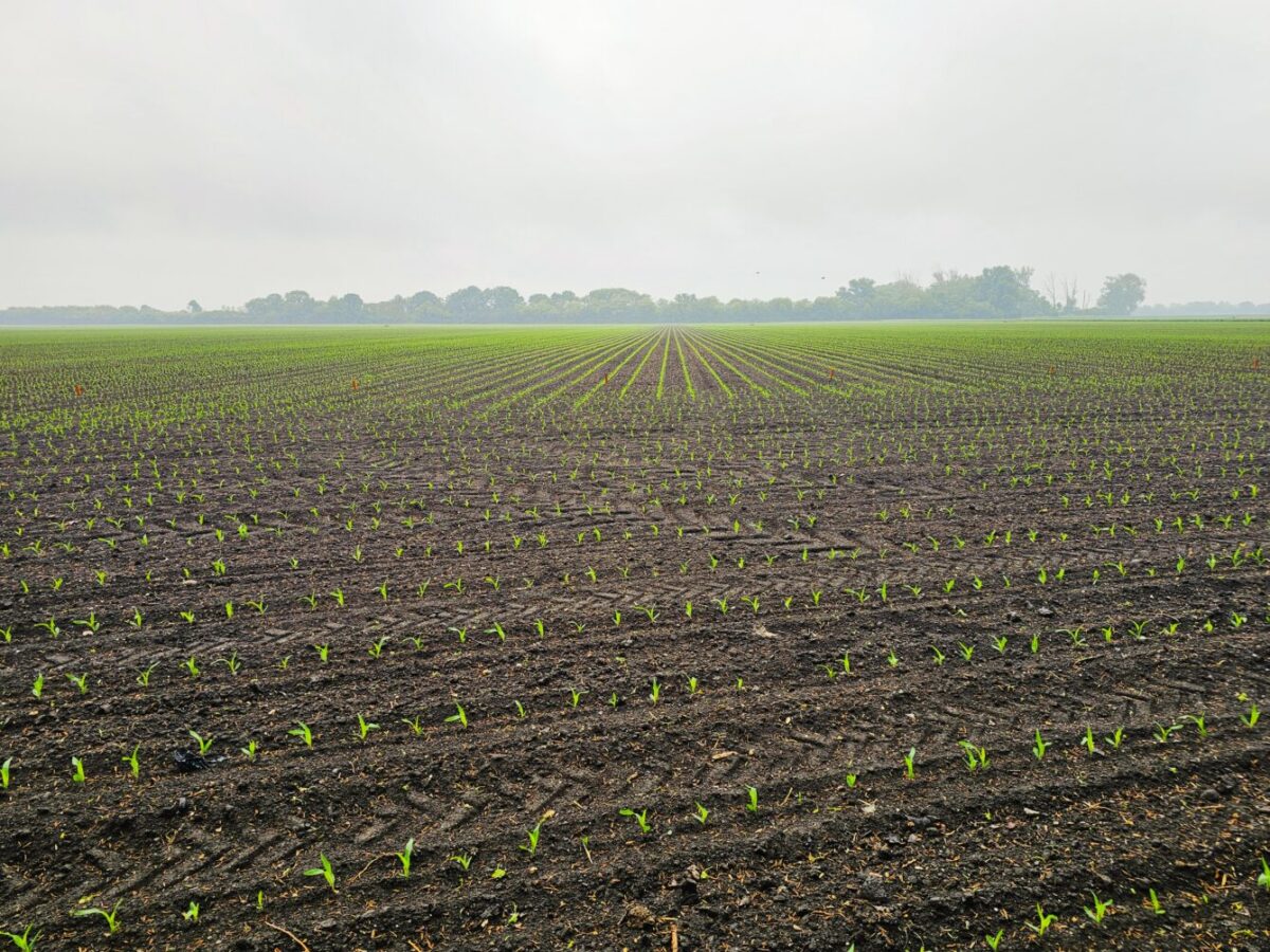 Lukáš Hríbik: Evidencia pozemkov a priame platby 2026 alebo „Dostanem tento rok podporu“?