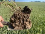 Vývoj smeruje k dodávateľským reťazcom, na konci ktorých sú regeneratívne farmy