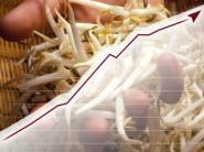 V júli sa rast cien v poľnohospodárstve výrazne zrýchlil na 21,6 %
