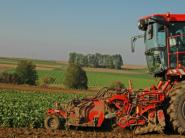 Pestovateľom cukrovej repy sa vyplatí štátna pomoc do 5 miliónov eur