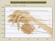 Vývoj cien pšenice na svetových burzách - 36. týždeň