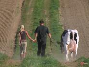 Tlak európskych mliečnych farmárov pokračuje