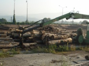 Agrorezort chce na prácach v lesoch vytvoriť 2400 pracovných miest