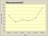 Ceny rastlinných komodít na bratislavskej burze s výhľadom do budúcnosti