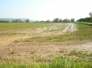 Poľnohospodári na východe Slovenska rátajú škody