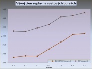 Repka. Odborníci predpokladajú ďalší nárast cien