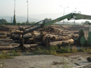 Štvrtinu produkcie dreva vyvážame bez spracovania