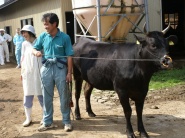 Slovenská publicistka hovorila pre poľnoinfo.sk s japonským farmárom postihnutým zemetrasením a rádioaktivitou 