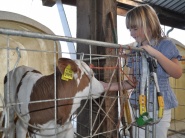 Za tri roky narástla spotreba mlieka o takmer 7 percent