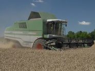 Suché počasie v Rusku by malo naštartovať ceny pšenice