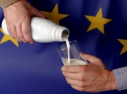 Klesajúce ceny mlieka znepokojujú európskych farmárov