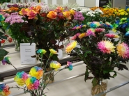 Pestovatelia kvetov v ČR sa po rokoch krízy vracajú na trh 