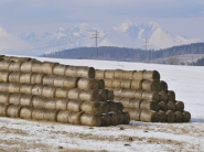Slovenskí roľníci si budú môcť kúpiť pôdu s pomocou SZRB 