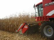 Historicky rekordná úroda kukurice na Slovensku