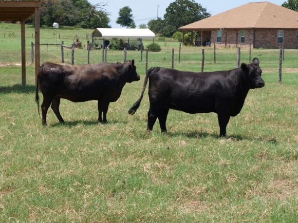 Sme krok od vážneho poškodenia našich roľníkov