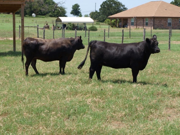 Sme krok od vážneho poškodenia našich roľníkov