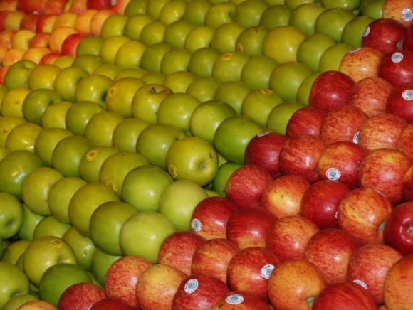 Mrazy znížili úrodu jabĺk o 50-percent