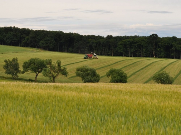 Cena poľnohospodárskej pôdy vlani stúpla o 15 percent