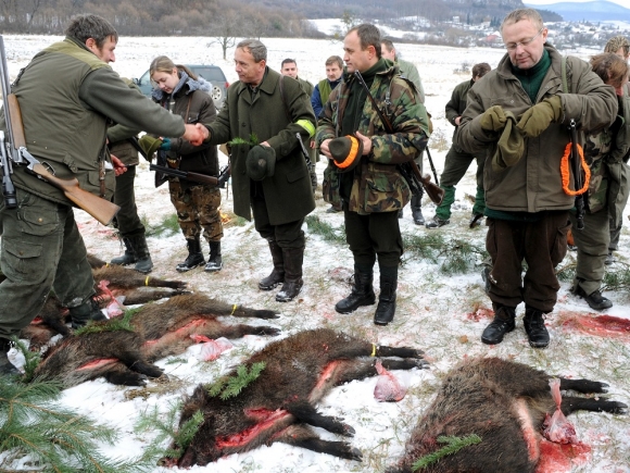 Štyridsať miliónov eur má motivovať k lovu diviakov