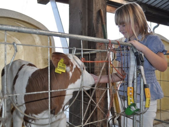 Kravy v starostlivosti detí sú budúcnosťou vidieka