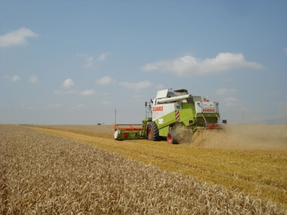 EÚ hrozí najslabšia úroda obilia za šesť rokov 