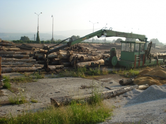 MPRV: Vývoz dreva vlani medziročne klesol o 17,7 %
