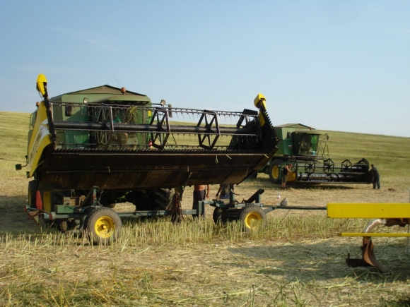 ČR: O 15 % nižšia úroda obilnín oproti päťročnému priemeru