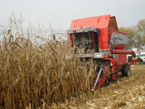 Poľnohospodári už pozbierali približne polovicu kukurice