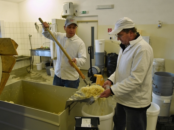 Výroba kapusty má v rodinnej firme 25-ročnú tradíciu