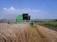 Rusko chce v budúcich rokoch zvýšiť produkciu obilnín o 25 %